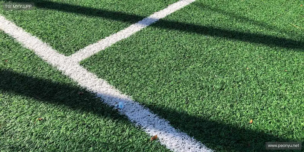 📺 高清直播，零延迟体验！每一个进球，都让你心跳加速⚽